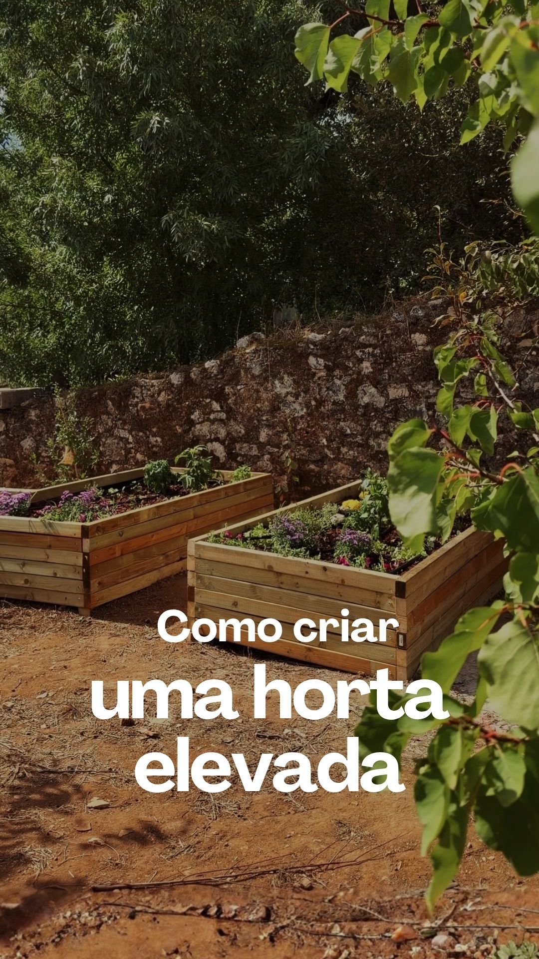 Anúncio de Jardins