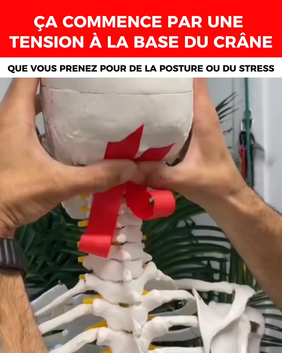 Pourquoi Vertiges, Tachycardie et Reflux Commencent Souvent dans le Cou