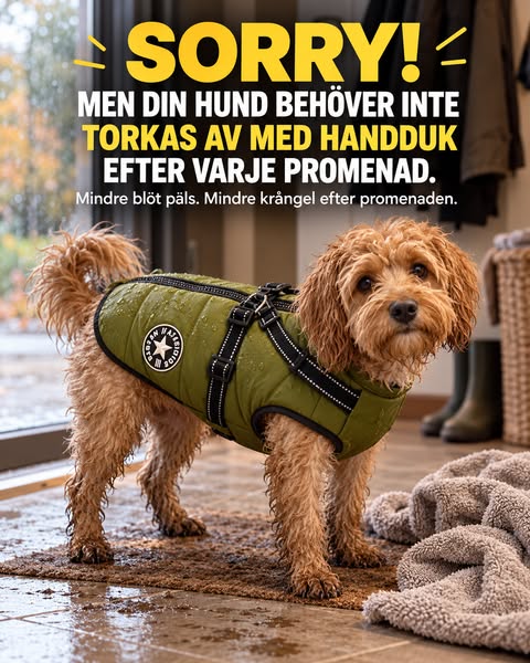Se erbjudandet