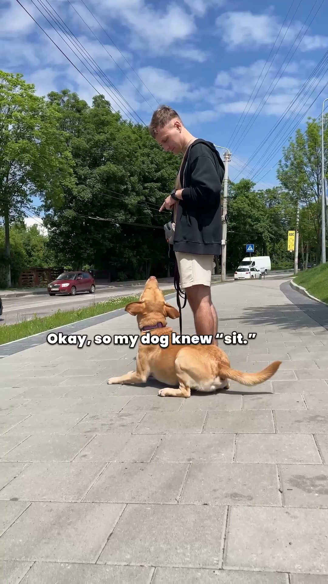 Start Service-Dog-Level Challenge ▶
