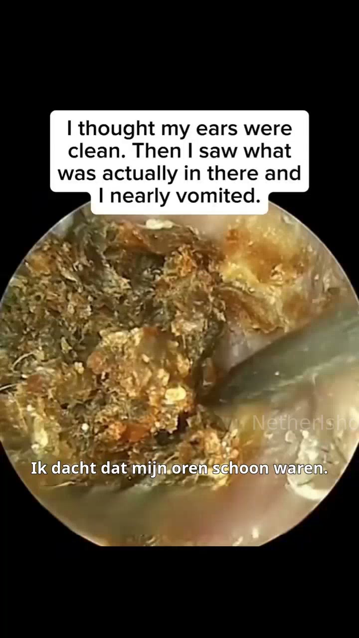 Netherlshop