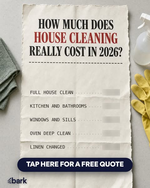 Need A Cleaner?