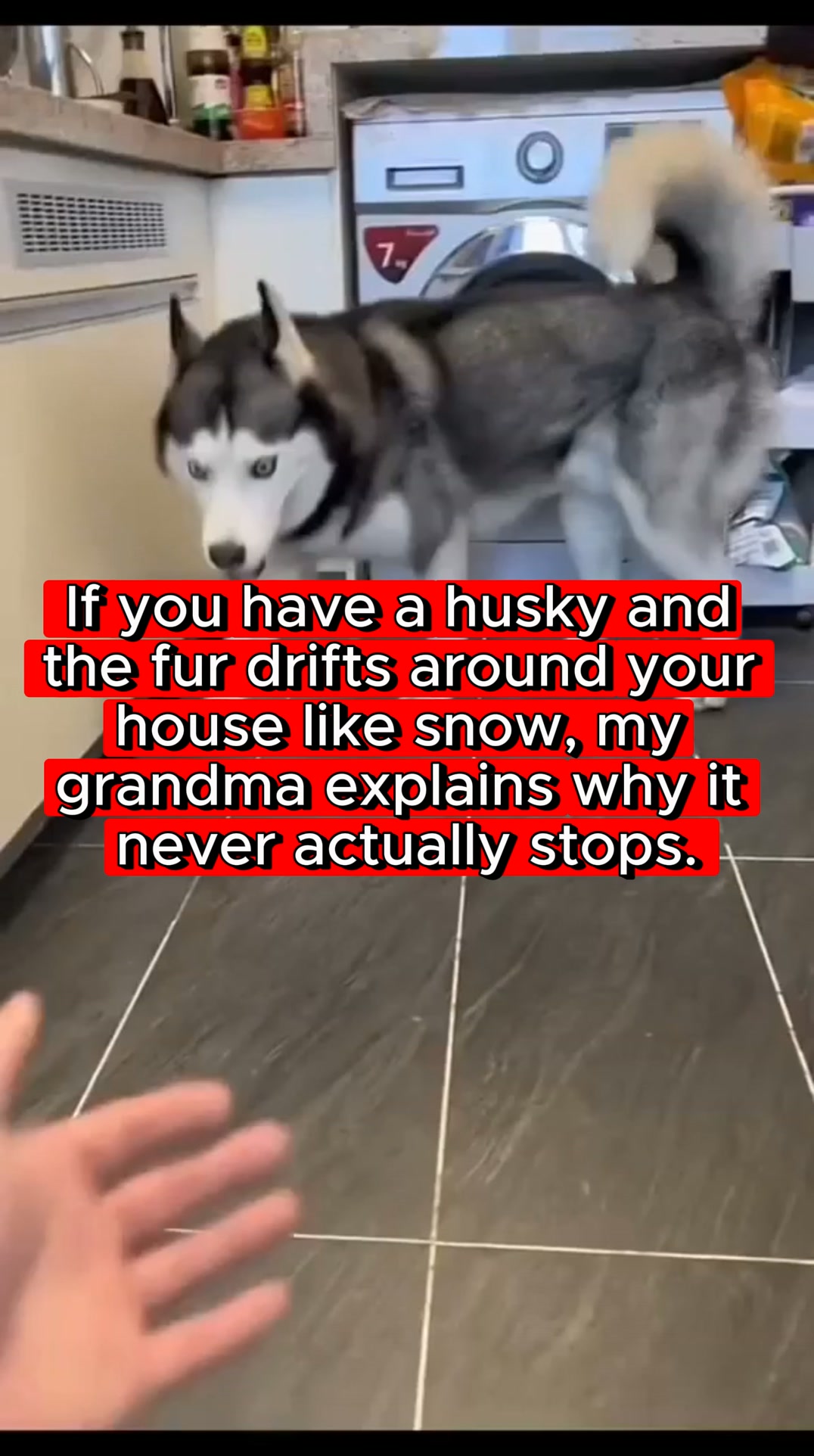 It Was Never The Breed
