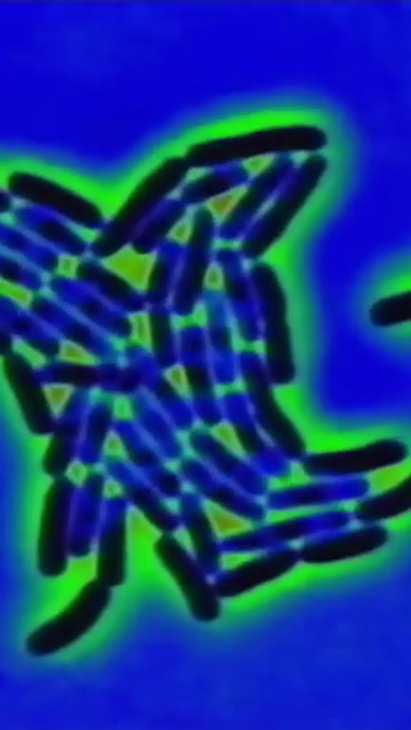 ★★★★★