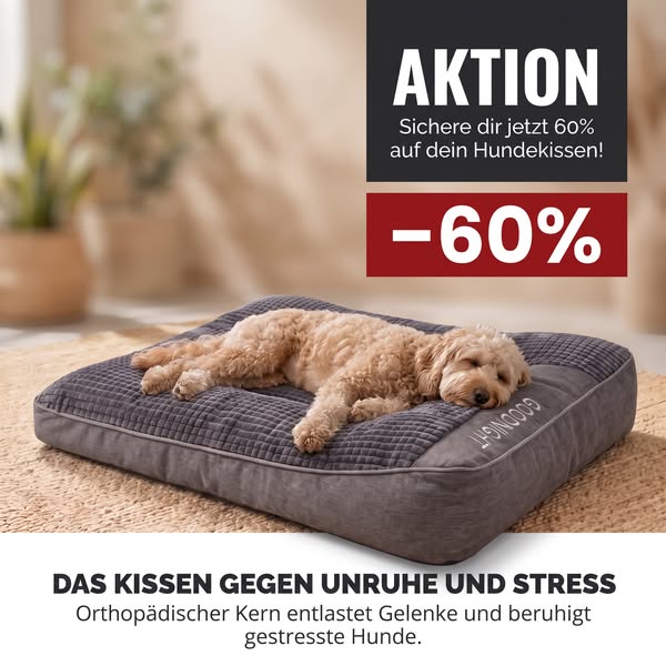 60% RABATT UND KOSTENLOSER VERSAND!