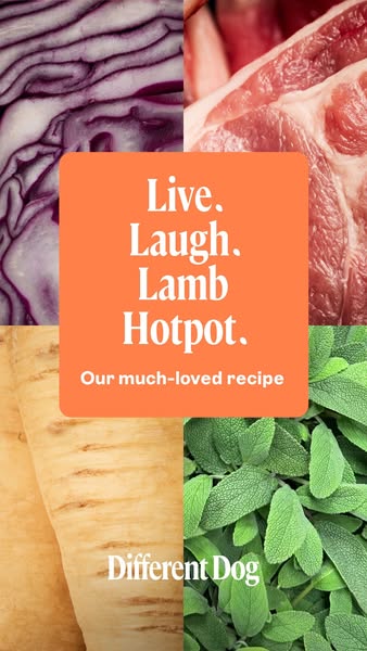 No fillers. No nasties. Try our Lamb Hotpot.