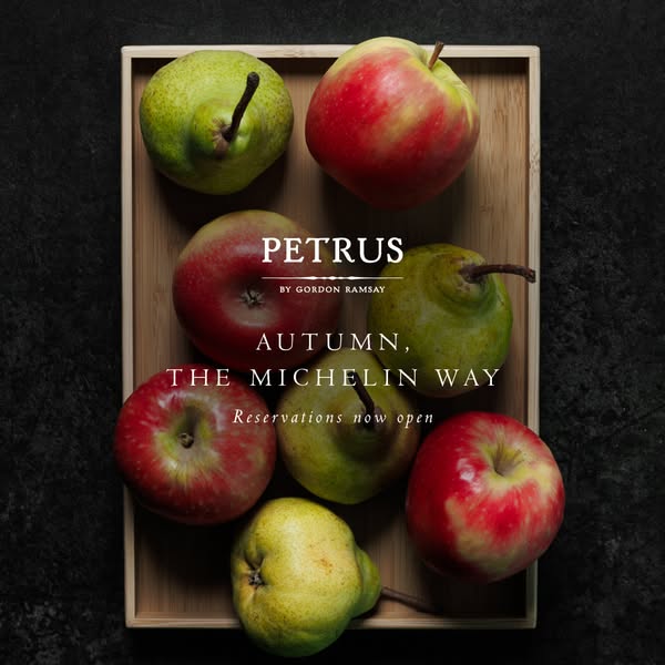 PRECISION, SEASONED BY AUTUMN