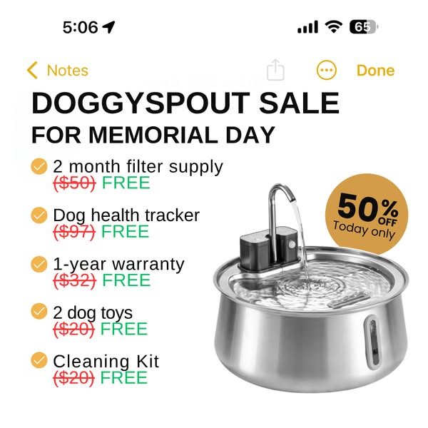 Your dog’s bowl is making them sick