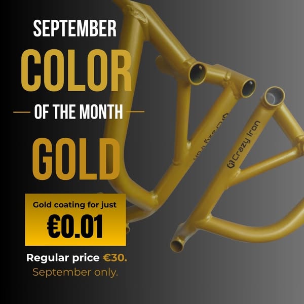 Color of the Month: GOLD | Save €29.99