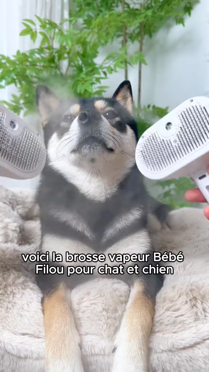La brosse qui transforme le brossage en moment câlin
