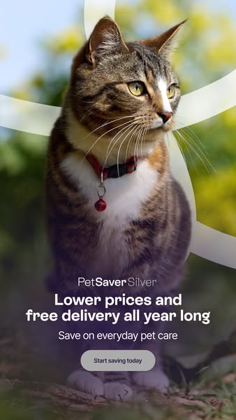 Save every time