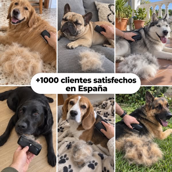 Del bulldog al husky: el mismo cepillo