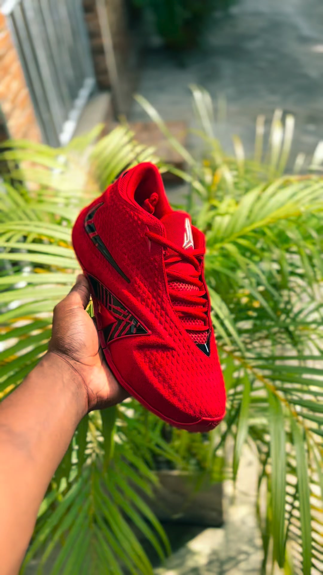 Bold Ja 4 Colourways + 3 Free Socks