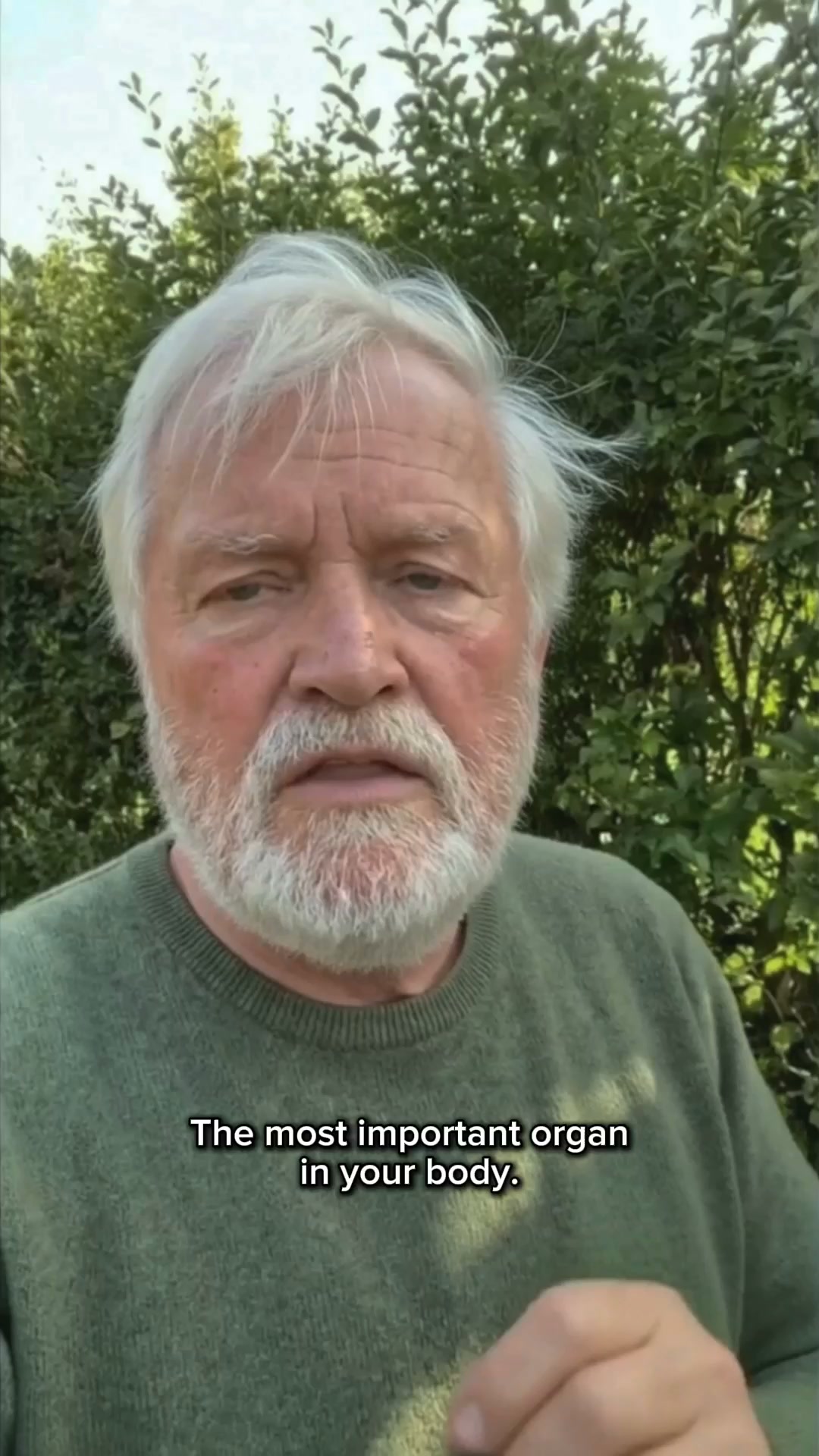 Protect Your Kidneys Before It's Too Late