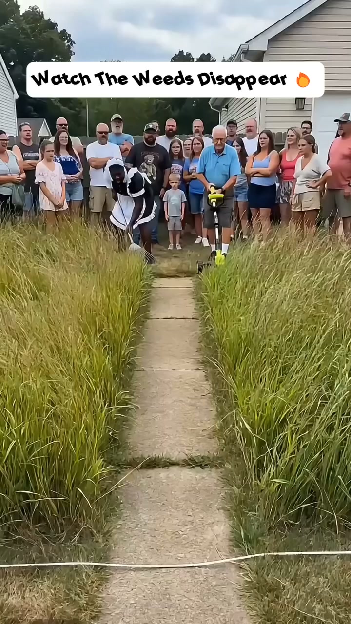 Anúncio de Belvarex Finds