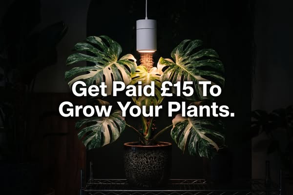 Our 90-Day Growth Challenge