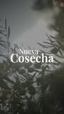 Nueva Cosecha ya aquí