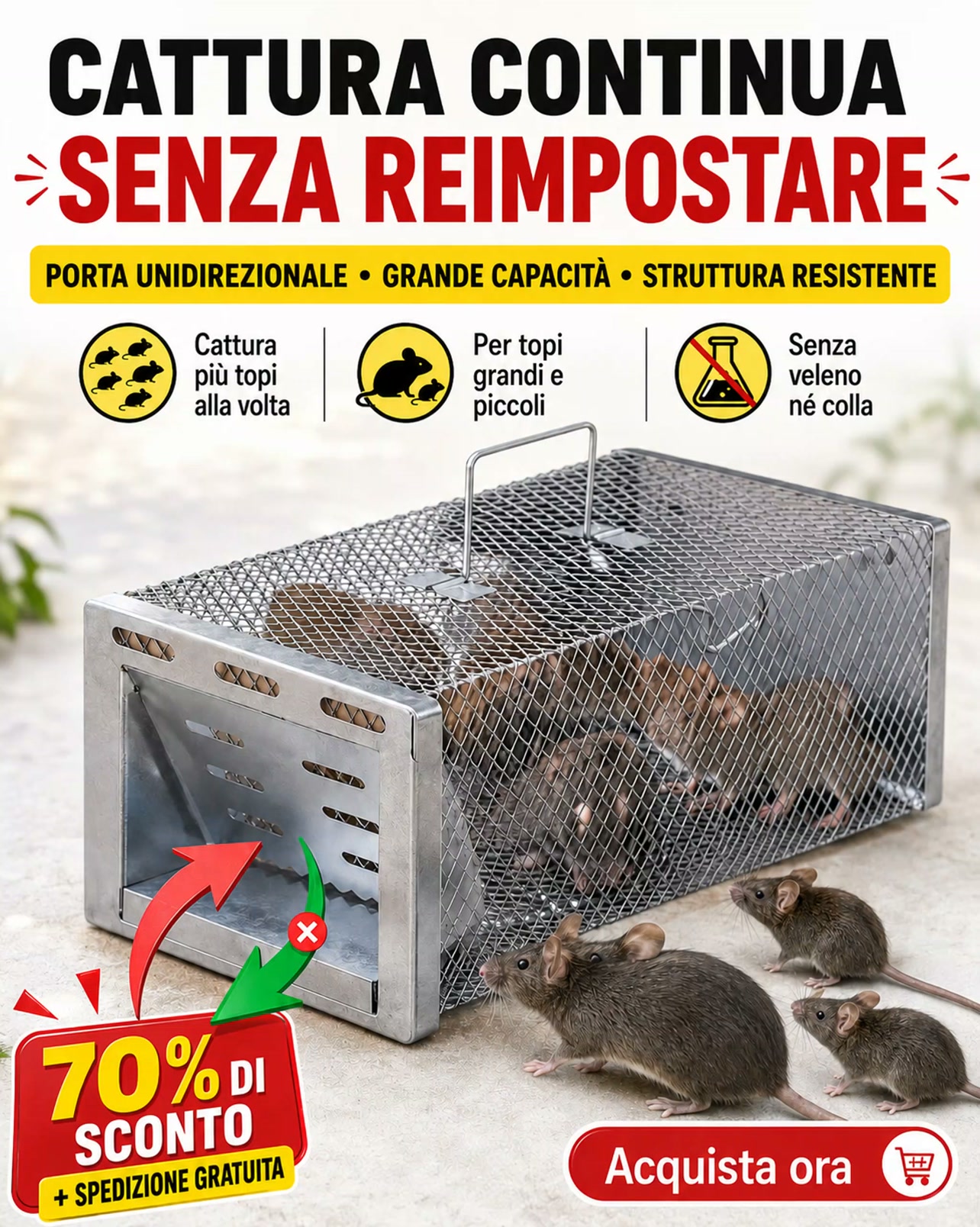 70% di sconto + spedizione gratuita