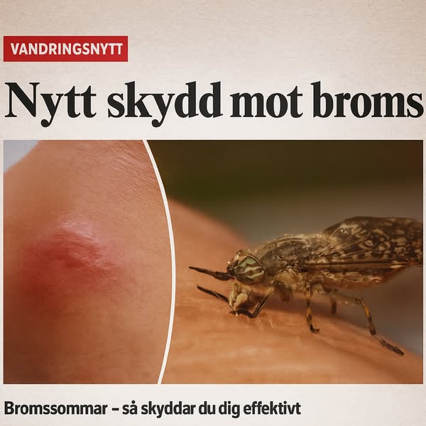 Anúncio de Krisskydd