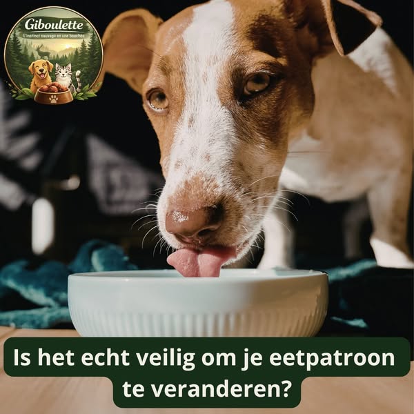 7€/1kg Giboulette