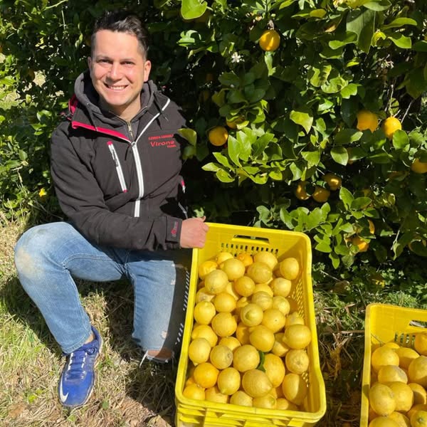 Limoni 100% Siciliani