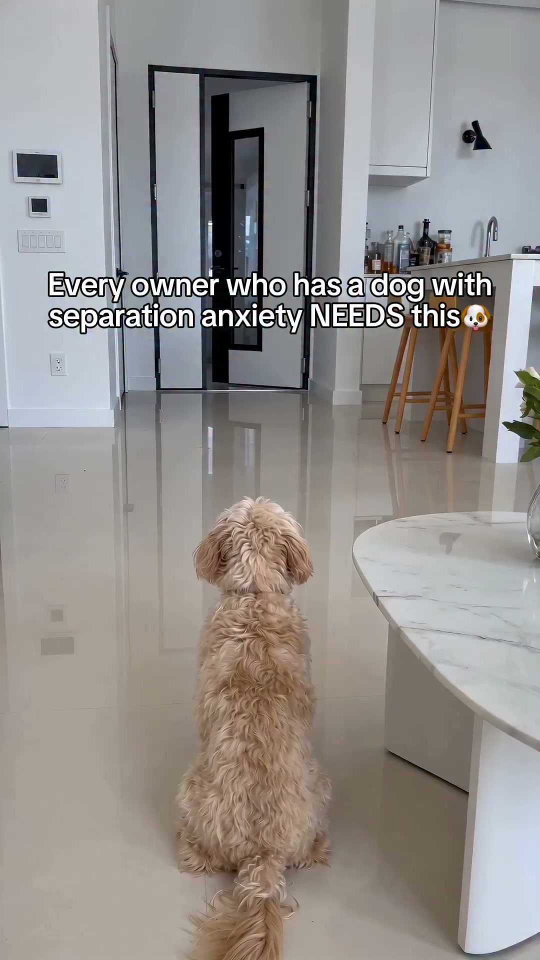 Roseva™ Heartbeat Pup – The plush that calms your dog's anxiety