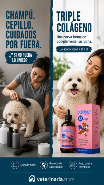 Pago contra Reembolso + Envío Gratis 24/48Hs