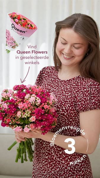 Bloeit minstens 3 weken