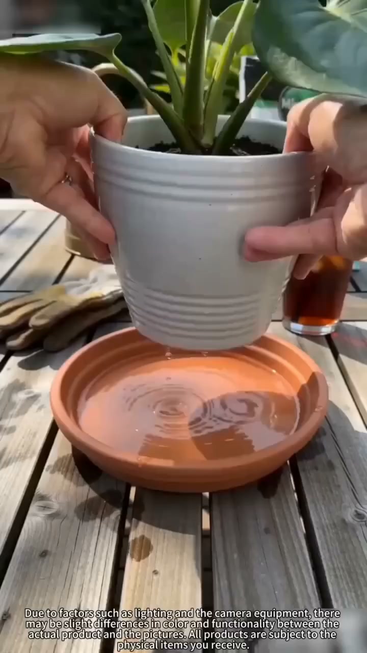 YOUR FLOWER POT SHOULDN’T SIT IN A PUDDLE!