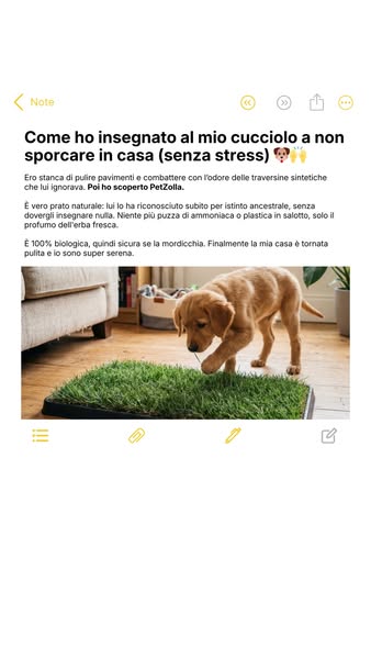 Scopri Petzolla