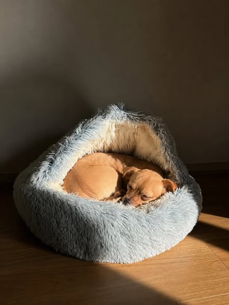 Cozy comfort for better sleep