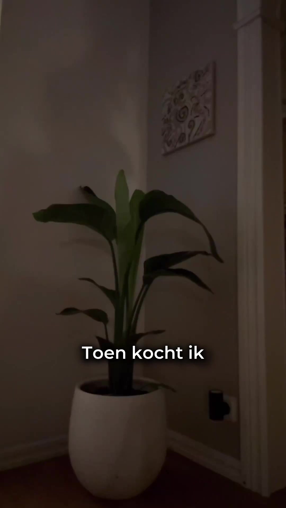 De lamp die 's avonds vanzelf aangaat