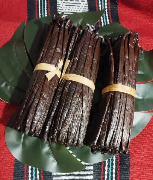 Vanille Bourbon Noire Gourmet Madagascar 18/19cm 1Kg SOAVANI Campagne 2026 | eBay