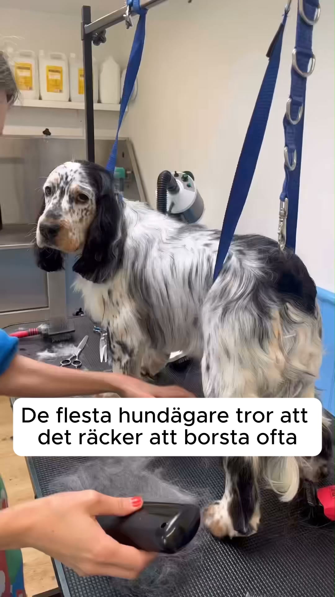 50% REA + FRI FRAKT