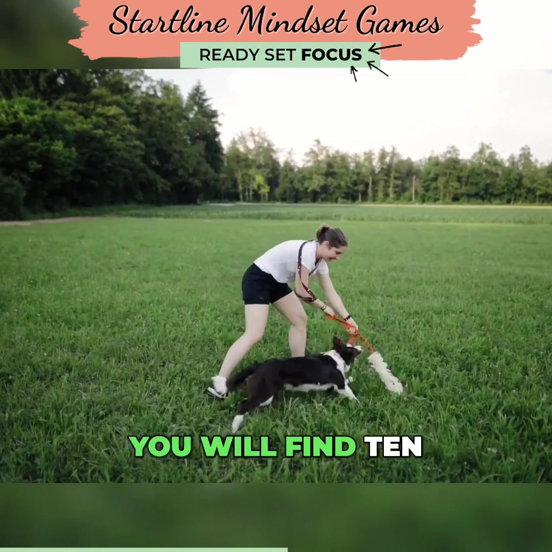 New: Agility Mindset Games - $27