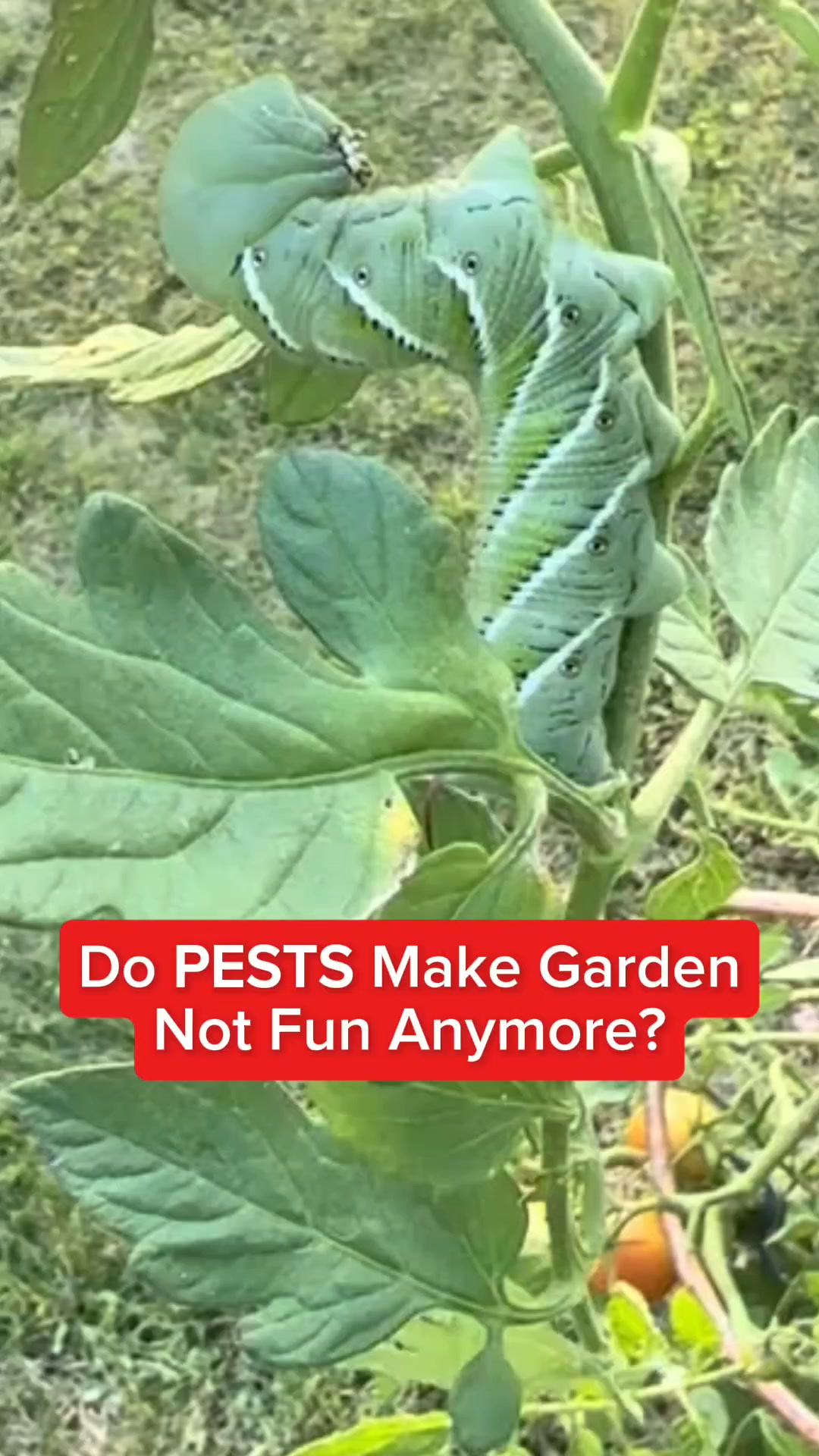 They Ate Months Of Work
