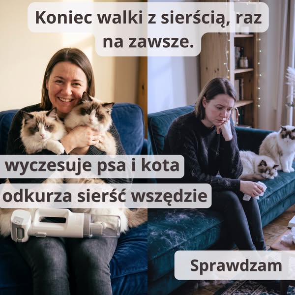Koniec z sierścią na kanapie i ubraniach
