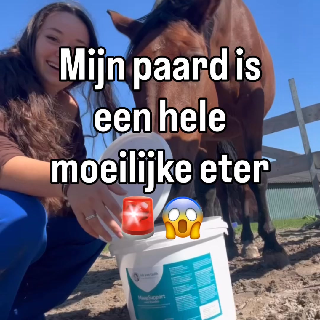 Ondersteun van binnenuit