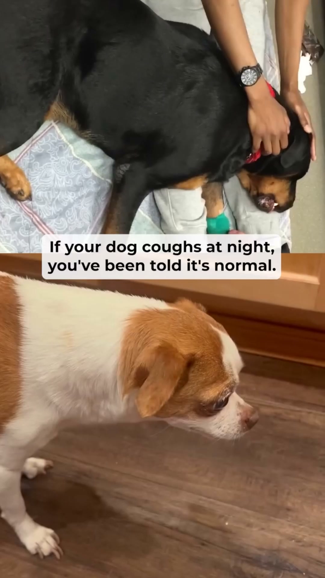 It's not his age. It's his bowl.