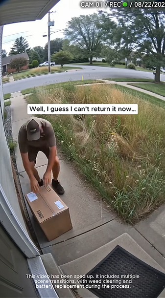 Make Your Lawn Look Professional in Minutes!