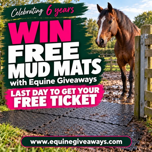 FREE Entry With Code MUD6