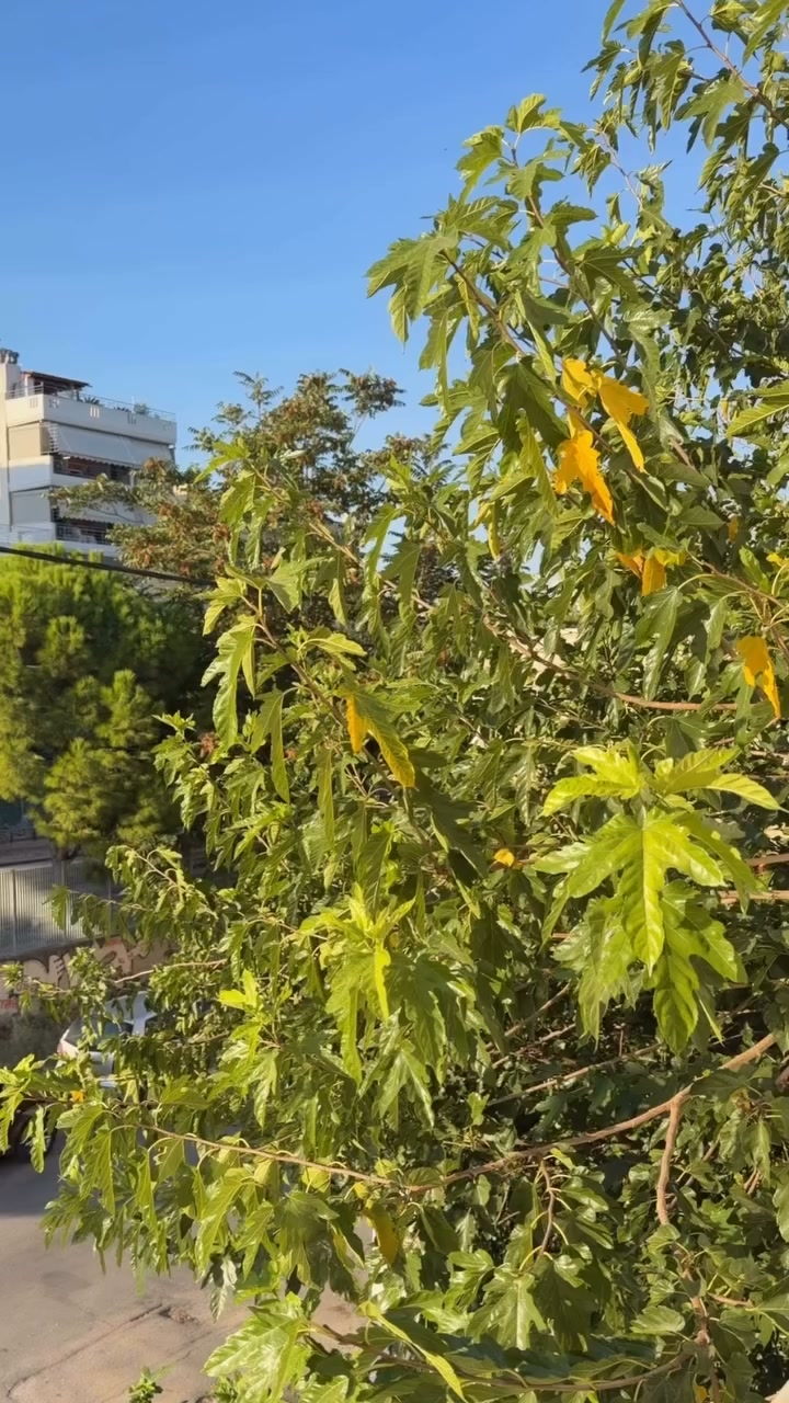 Ανακάλυψε τα αγαπημένα σου κομμάτια σήμερα με ένα κλικ στον σύνδεσμο!