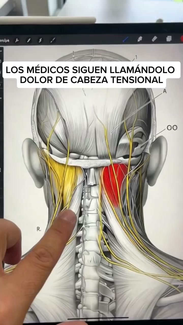Las 5 razones del dolor de cuello matinal