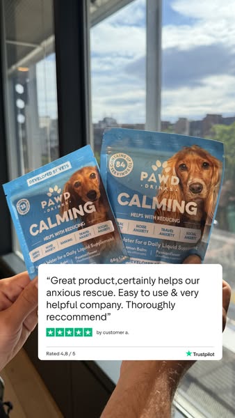 Daily Calm for Anxious Dogs