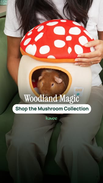 Upgrade to the Mushroom collection