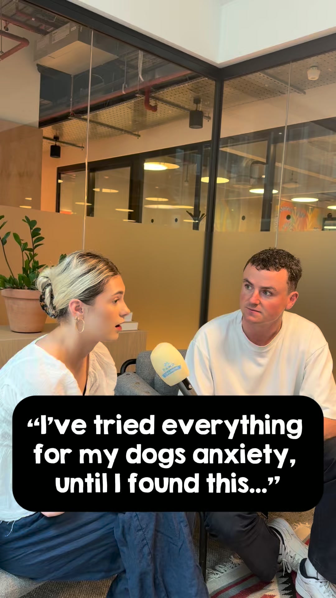 Daily Calm for Anxious Dogs