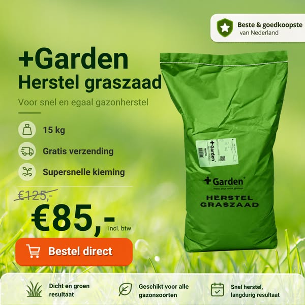 Voor een dichte groene grasmat