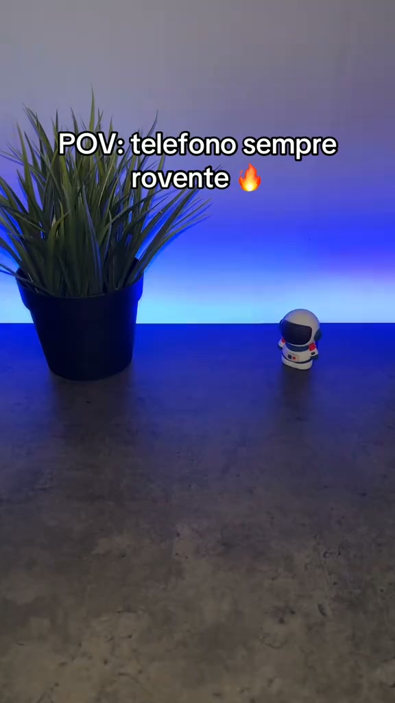 Oggi 1+1 in Regalo