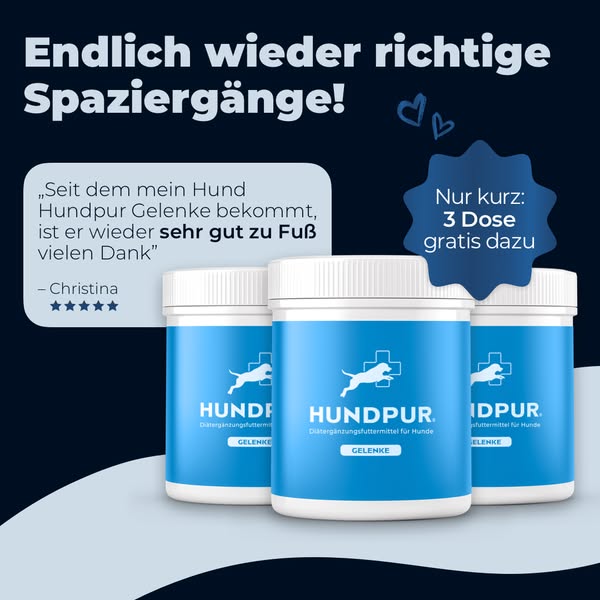 Hundebesitzer LIEBEN diese „Gelenk-Pellets“