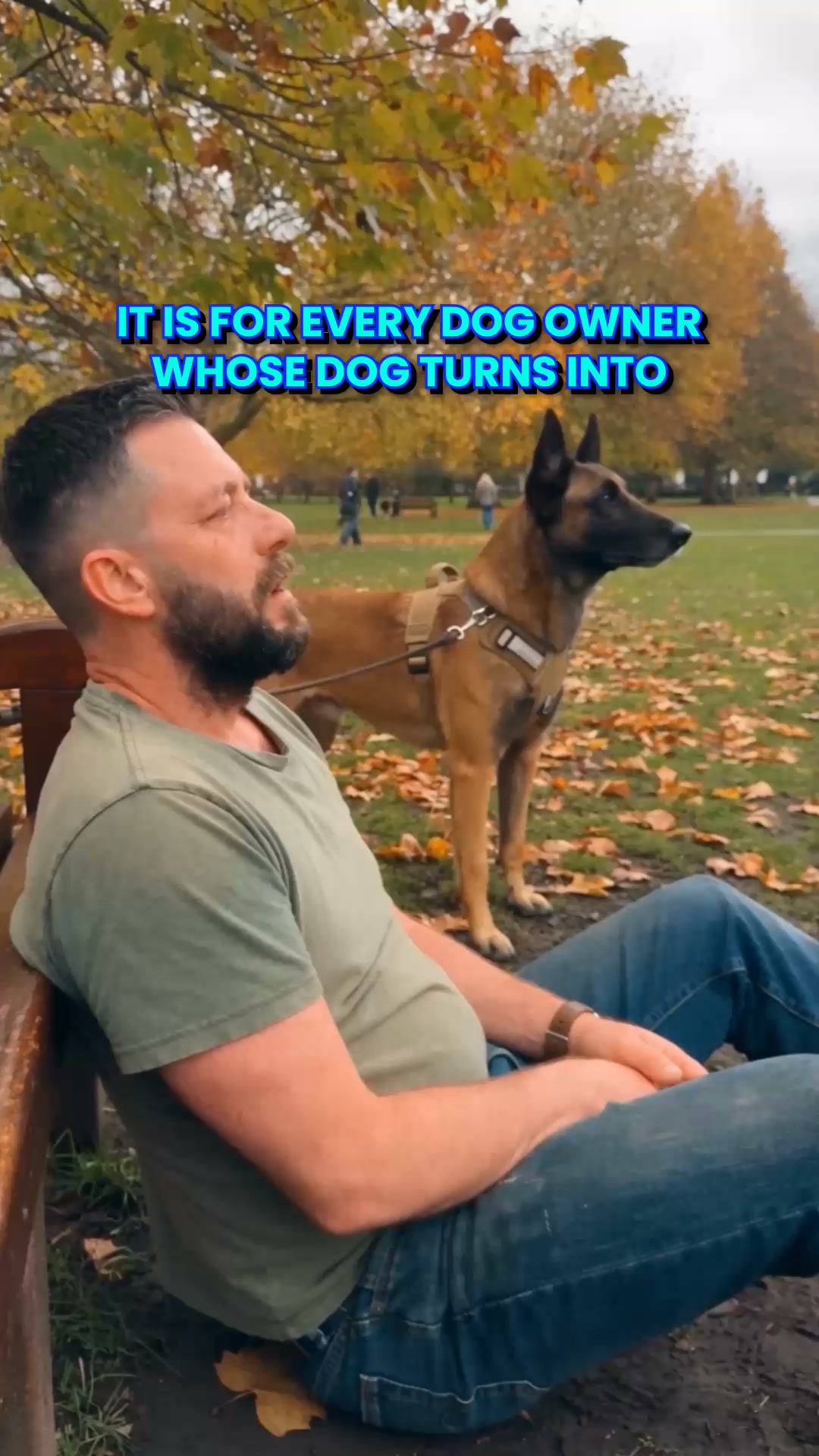 Take the K9 Training Challenge Now